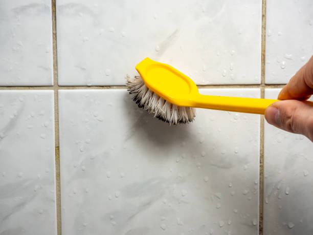 Best Fast Mold Removal  in Mission Hills, KS