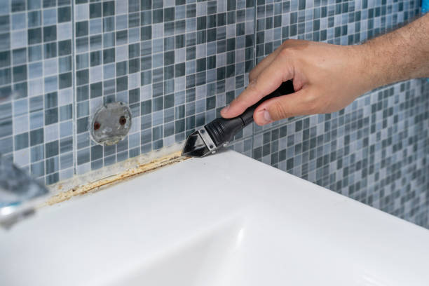  Mission Hills, KS Mold Removal Pros